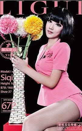 LiGuiд 2013.02.01 ģ ˾_˿